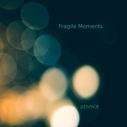 fragile moments